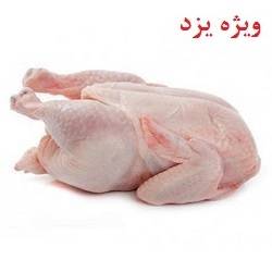 مرغ گرم شمال